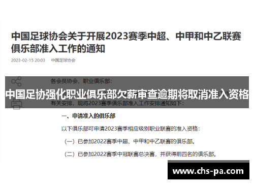 中国足协强化职业俱乐部欠薪审查逾期将取消准入资格