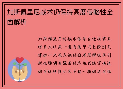 加斯佩里尼战术仍保持高度侵略性全面解析